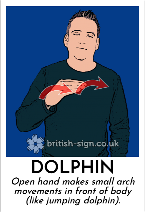 Dolphin: Open hand makes small arch movements in front of body (like jumping dolphin).